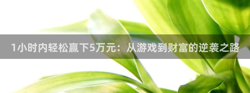 尊龙最帅的十张照片