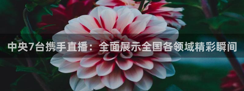 松鼠直播：中央7台携手直播：全面展示全国各领域精彩瞬间